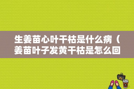 生姜苗心叶干枯是什么病（姜苗叶子发黄干枯是怎么回事）-图1