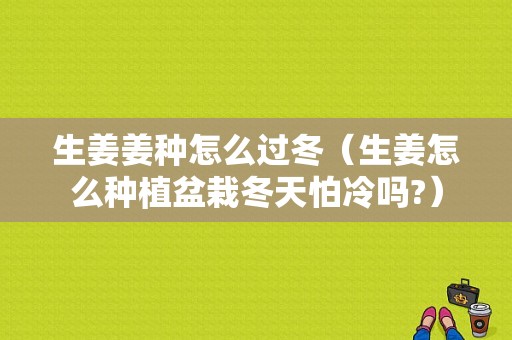 生姜姜种怎么过冬（生姜怎么种植盆栽冬天怕冷吗?）