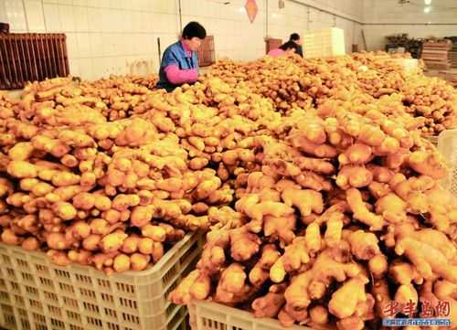 生姜加工公司（生姜食品加工厂）-图3