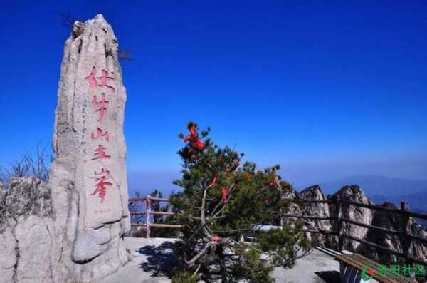 伏牛山生姜（伏牛山出了一名神医,你们听说了么）