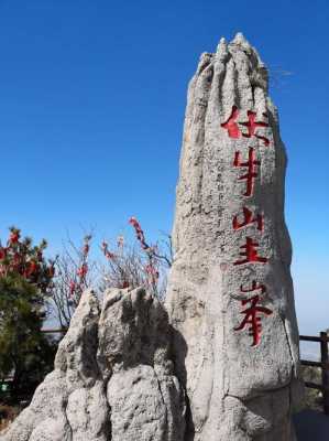 伏牛山生姜（伏牛山出了一名神医,你们听说了么）-图3