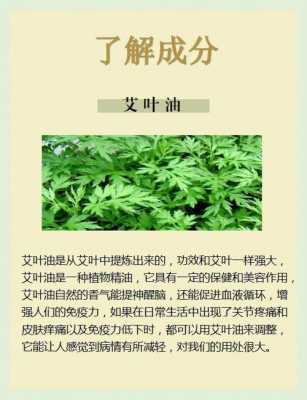 艾草生姜皂（艾草生姜液 作用）-图3