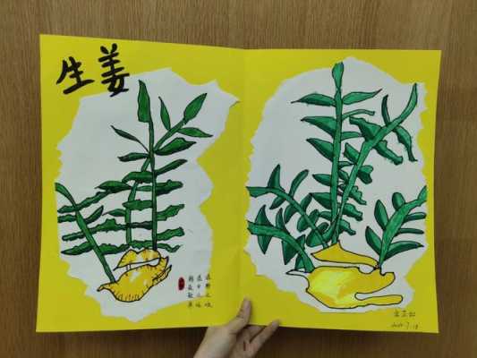 本草生物生姜（生姜本草新编）