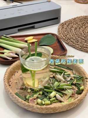 香茅生姜冰淇淋（香茅和姜的味道）-图1