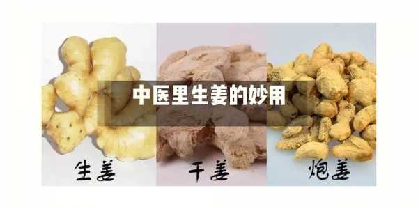 生姜良姜干姜（生姜干姜高良姜）-图1