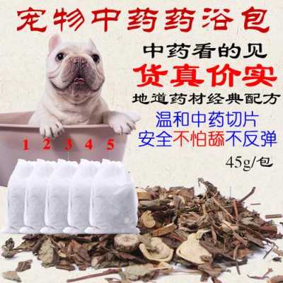 狗狗生姜药浴（给狗狗药浴用什么药好）-图2