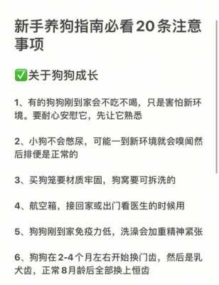 家里养狗可以放生姜吗（家里养狗可以放生姜吗有毒吗）-图3