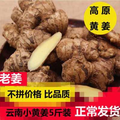 红河生姜出售（红河生姜出售价格）-图3