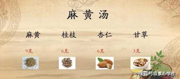 桂枝生姜火麻仁（桂枝汤加麻黄）-图1