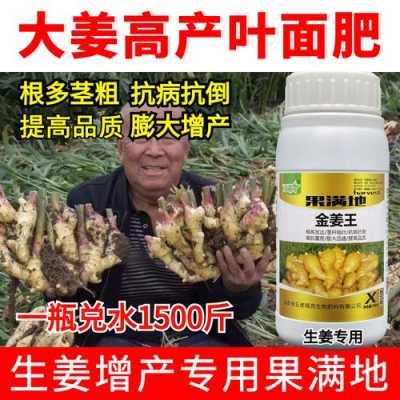 生姜种植膨大（生姜膨大期用什么肥料最好）