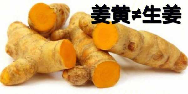 生姜作用特点（生姜的医药作用）-图2