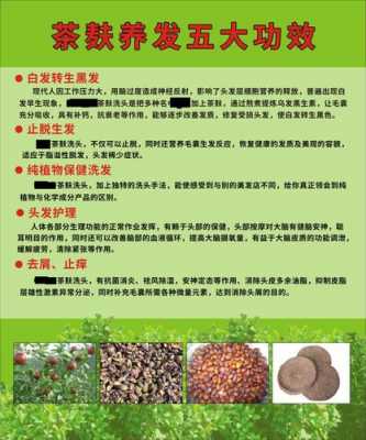 生姜茶枯洗头的功效与作用（怎样使用生姜和茶枯洗头）-图2