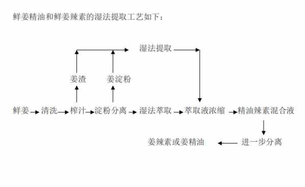 生姜提取技术（生姜提取工艺）-图3