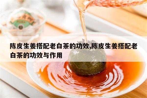 白茶陈皮生姜（白茶陈皮生姜泡水喝的功效和作用）-图2