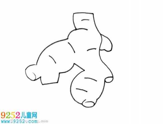 用生姜画动物（简单的生姜怎么画）-图2