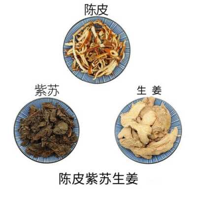 陈皮苏子甘草生姜（紫苏干姜陈皮能一起用吗）-图1