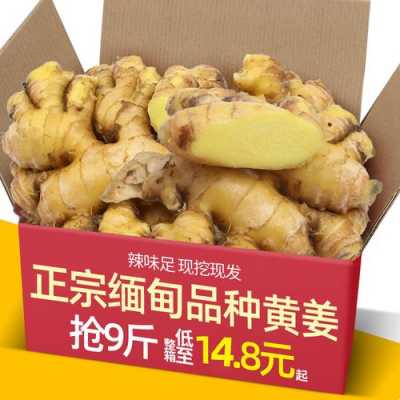 缅甸生姜供应（缅甸生姜供应商电话）-图2