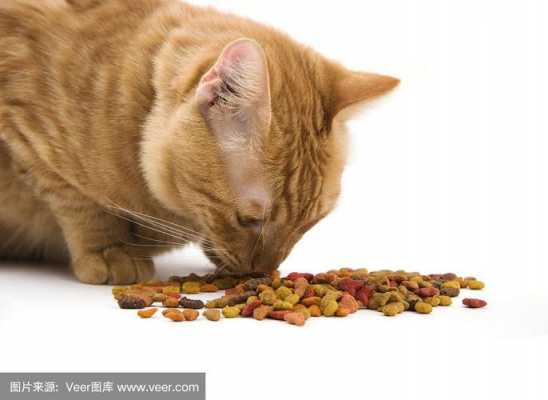 猫误食生姜怎么补救视频（猫误食生姜怎么补救视频教学）