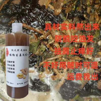 皂荚加生姜（皂荚生姜煮水喝的功效与作用）-图3