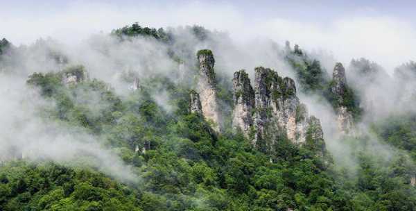 神农架有没有生姜种植（神农架确实有点神）-图2