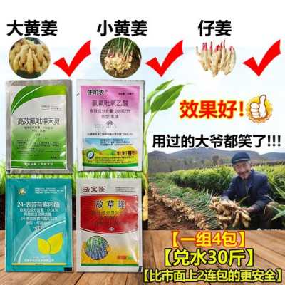 种生姜用什么除草剂（种生姜用什么除草剂效果好）