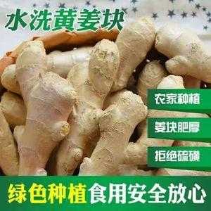 大黄生姜减肥（大黄生姜减肥有效果吗）