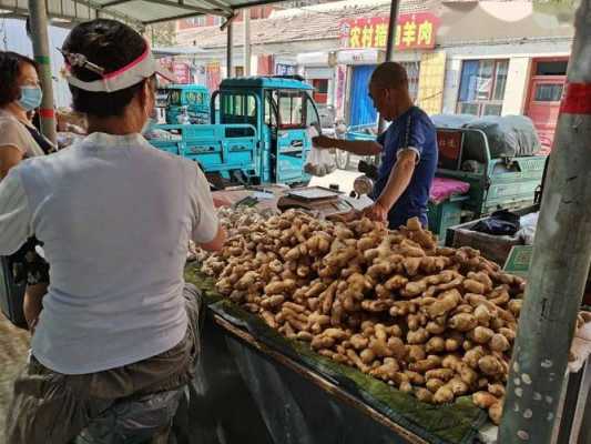 海丰县蔬菜批发生姜（海丰县农贸批发市场）