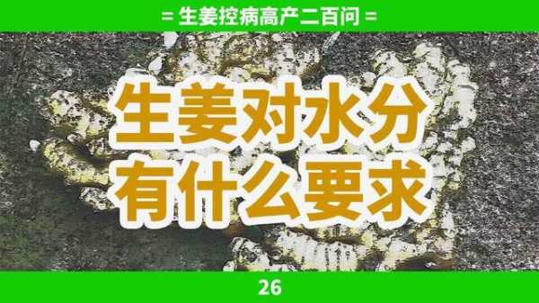 生姜水分要求（生姜含水量多少）-图2