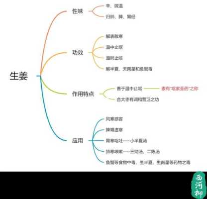 生姜思维分析图（关于生姜的思维导图）-图1