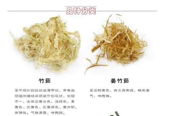 生姜搭配竹茹（竹茹和姜片煮水吃有什么作用）-图1