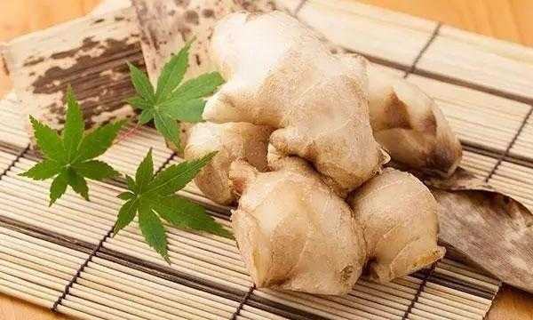 荨麻疹能吃生姜（荨麻疹能吃生姜嘛）