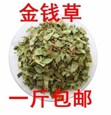 生姜和金钱草能一起吃吗（金钱草和干姜一起吃吗）-图2