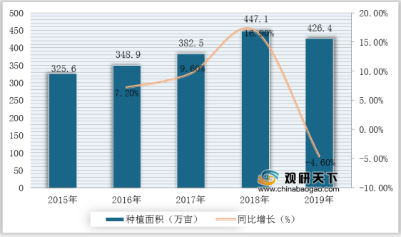 生姜网络现状分析（生姜产业网）-图2