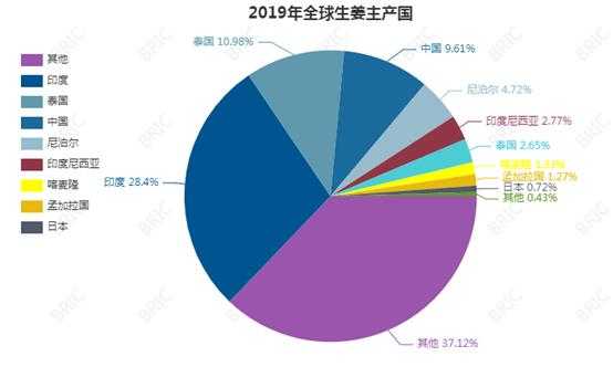 生姜网络现状分析（生姜产业网）-图3