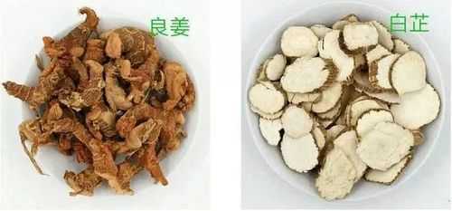 生姜白芷（生姜白芷肉桂一起的作用）-图1