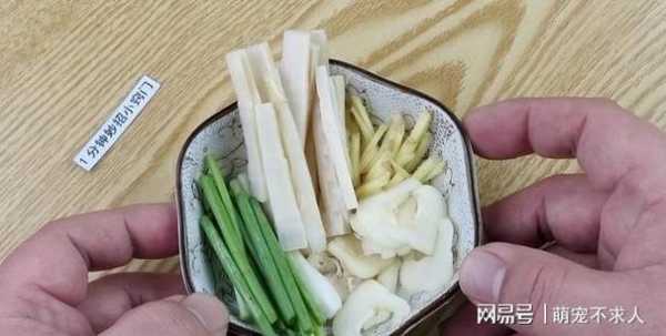 青苔加生姜（青苔加生姜敷腰能治疗腰脱吗?）-图3