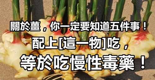 生姜灵异故事（生姜的传说故事）-图2