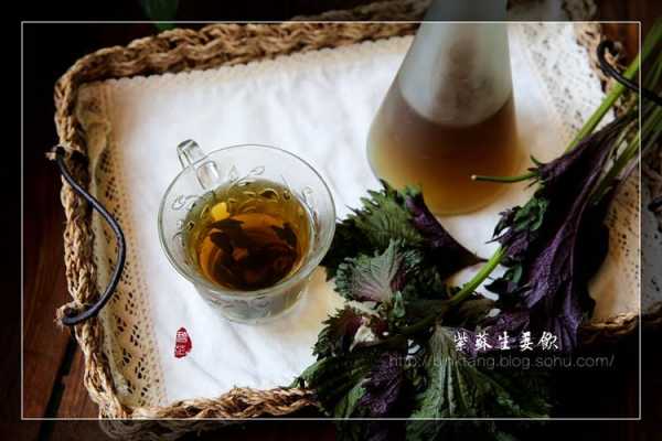 紫苏生姜安胎（紫苏生姜安胎有用吗）-图3