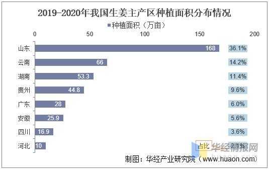 中国生姜生产现状（中国生姜生产现状如何）-图3