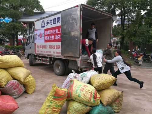 绍兴生姜收购（绍兴生姜收购厂家）-图3