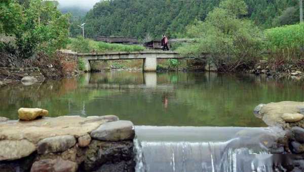 大田济阳生姜（大田县济阳乡大墘村）-图3