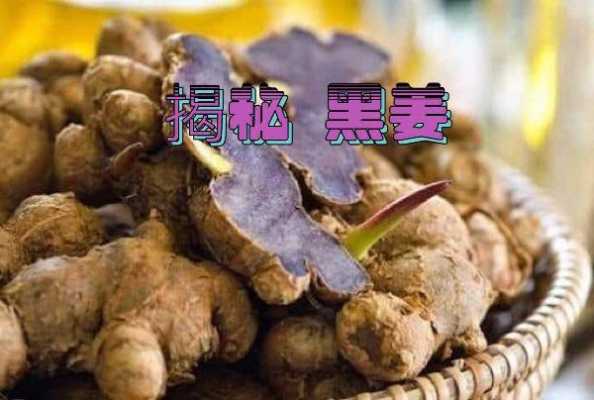 药材黑生姜（黑生姜的功效与作用及食用方法）-图1