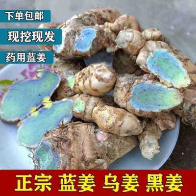 药材黑生姜（黑生姜的功效与作用及食用方法）-图3