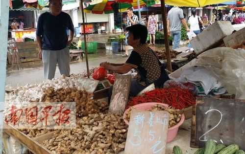 南宁哪里有卖生姜的市场-图1