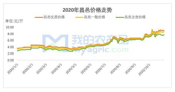 今日生姜价格行情生姜最新价格-图2