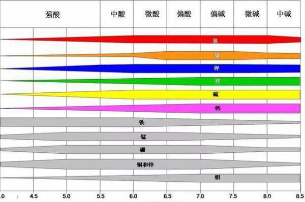 种生姜土质酸碱度-图2