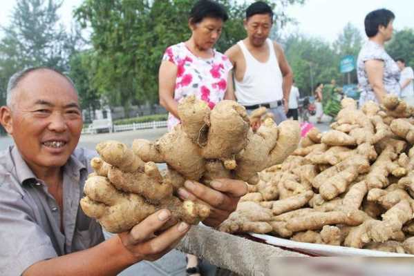 生姜可以喂牛么视频