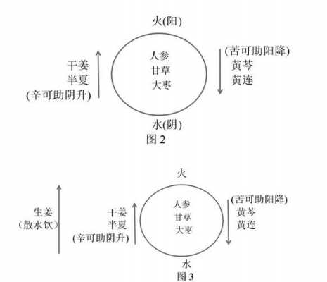 生姜泻心汤方药分析报告-图2