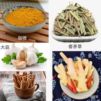 感冒止咳香茅草加生姜-图2