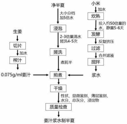 生姜饮片工艺规程-图3